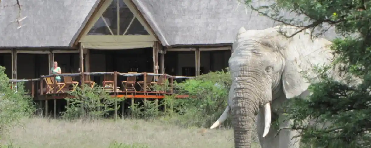 Amakhala Game Reserve Bush Lodge Tented-1